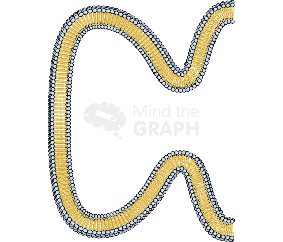 Membrane 7 complex Icons, Symbols, Pictures, and Images