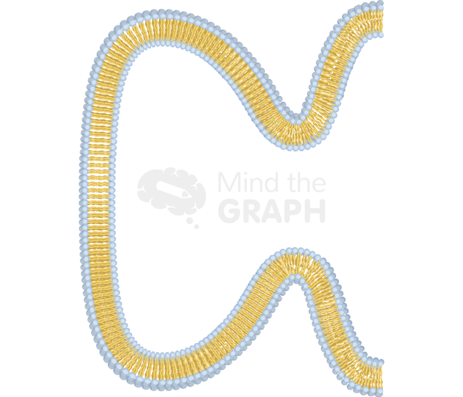 Membrane 7 complex Icons, Symbols, Pictures, and Images