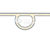 Membrane 8 Icons, Symbols, Pictures, and Images