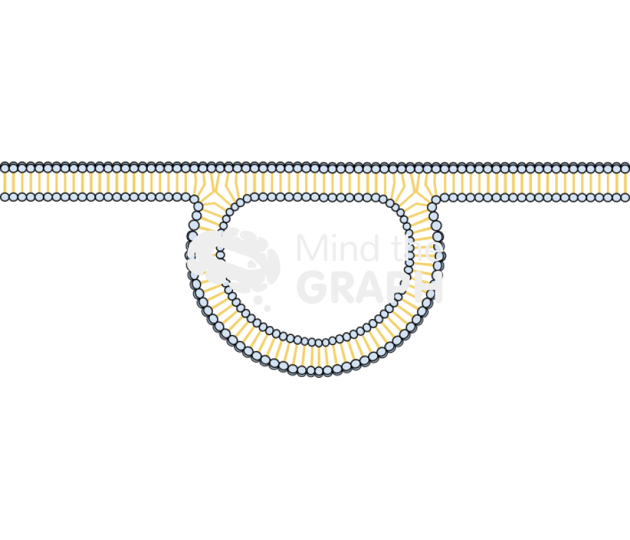 Membrane 8 Icons, Symbols, Pictures, and Images