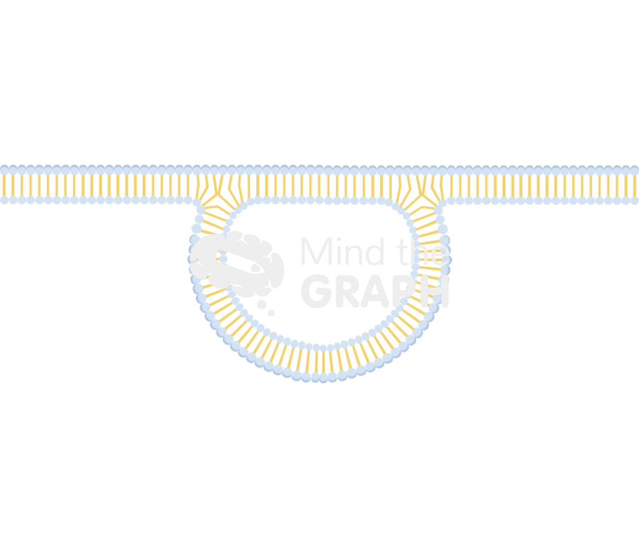 Membrane 8 Icons, Symbols, Pictures, and Images