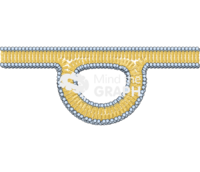 Membrane 8 complex Icons, Symbols, Pictures, and Images