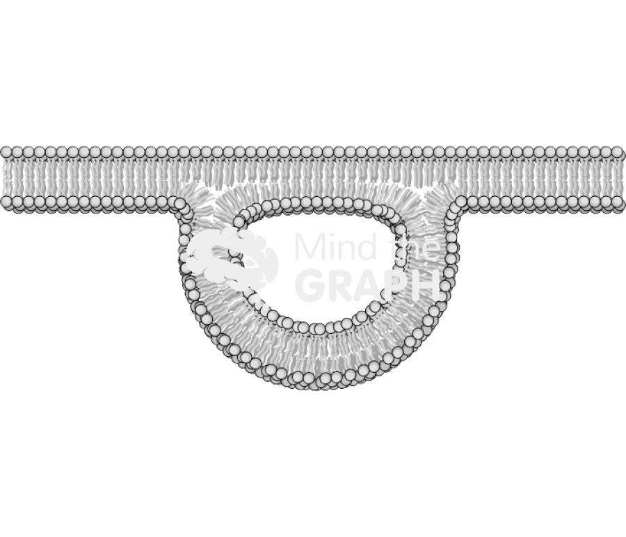 Membrane 8 complex Icons, Symbols, Pictures, and Images