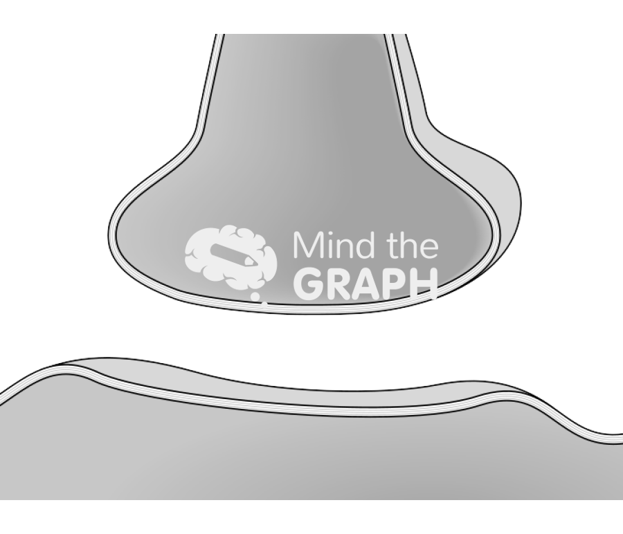 Membrane composition 3 Icons, Symbols, Pictures, and Images