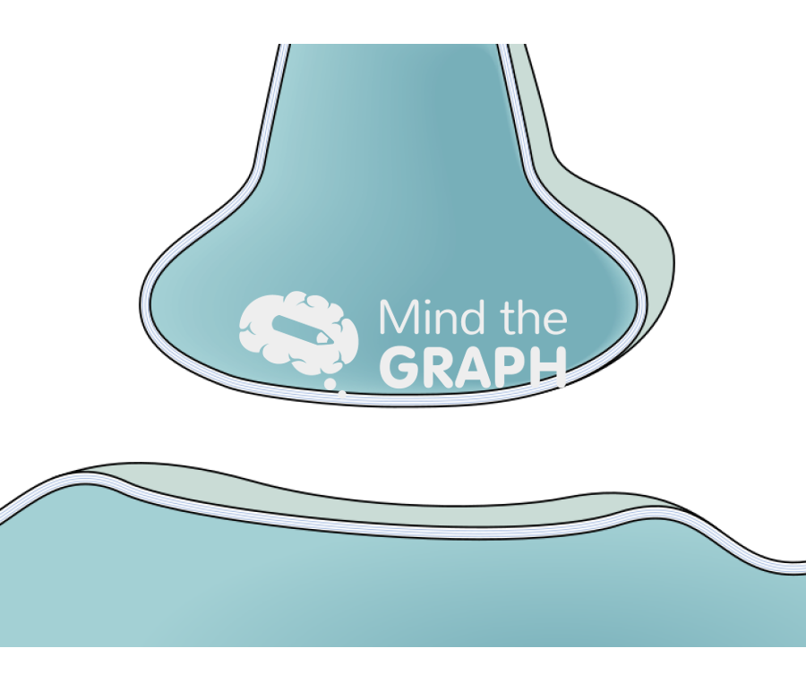 Membrane composition 3 Icons, Symbols, Pictures, and Images