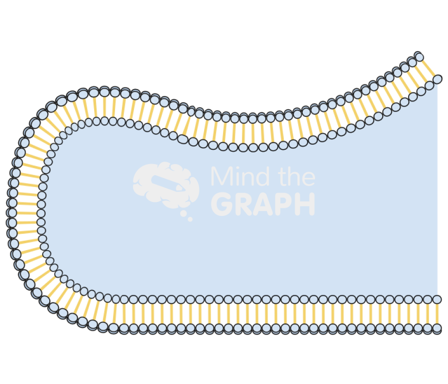 Membrane corner 1 Icons, Symbols, Pictures, and Images