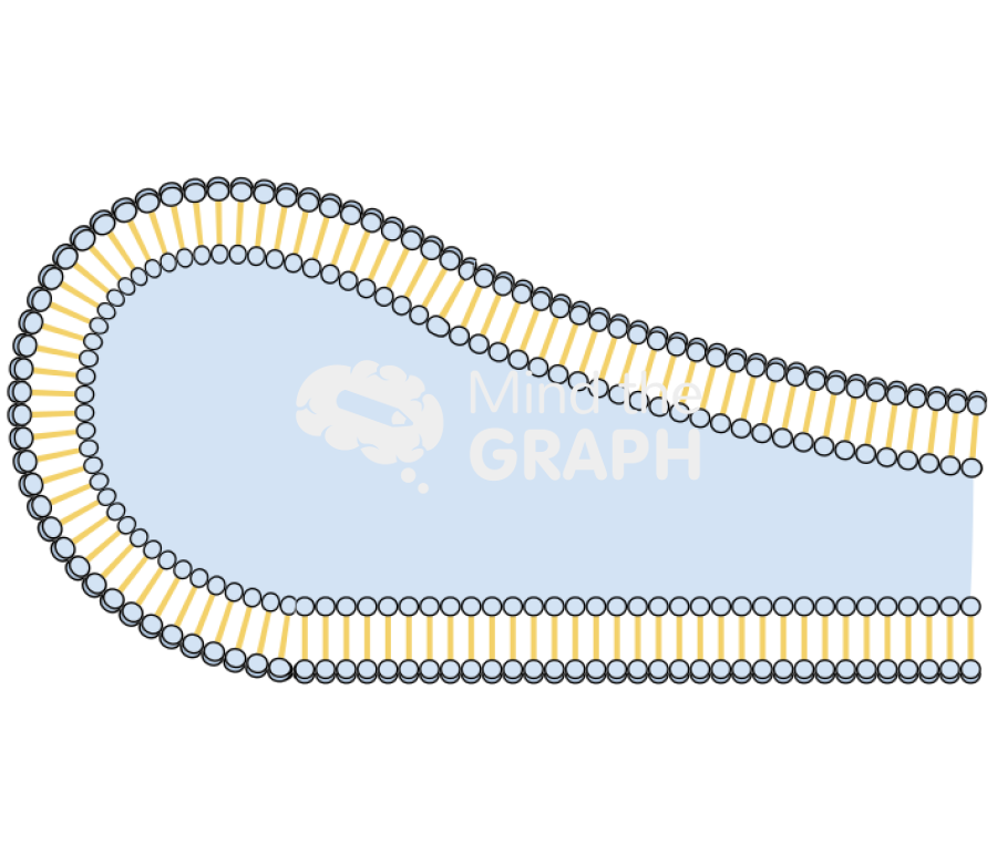 Membrane corner 2 Icons, Symbols, Pictures, and Images