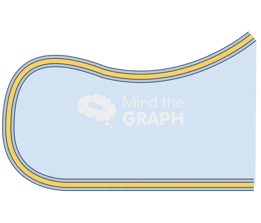 Membrane corner 3 Icons, Symbols, Pictures, and Images