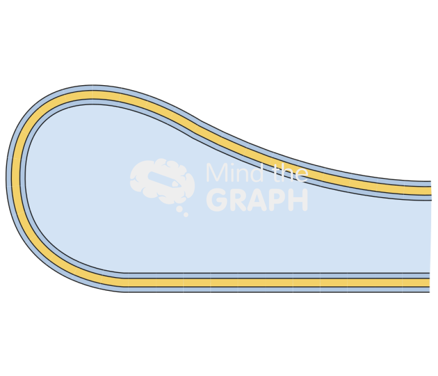 Membrane corner 4 Icons, Symbols, Pictures, and Images