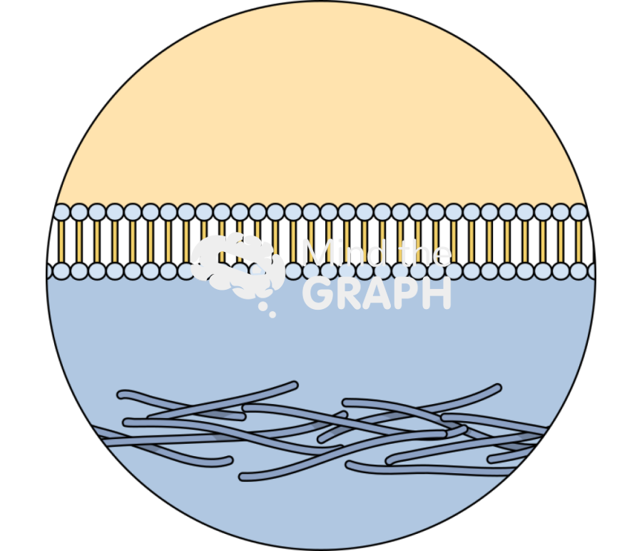 Membrane fibronectin zoom Icons, Symbols, Pictures, and Images