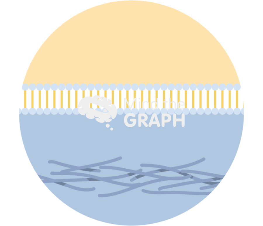 Membrane fibronectin zoom Icons, Symbols, Pictures, and Images