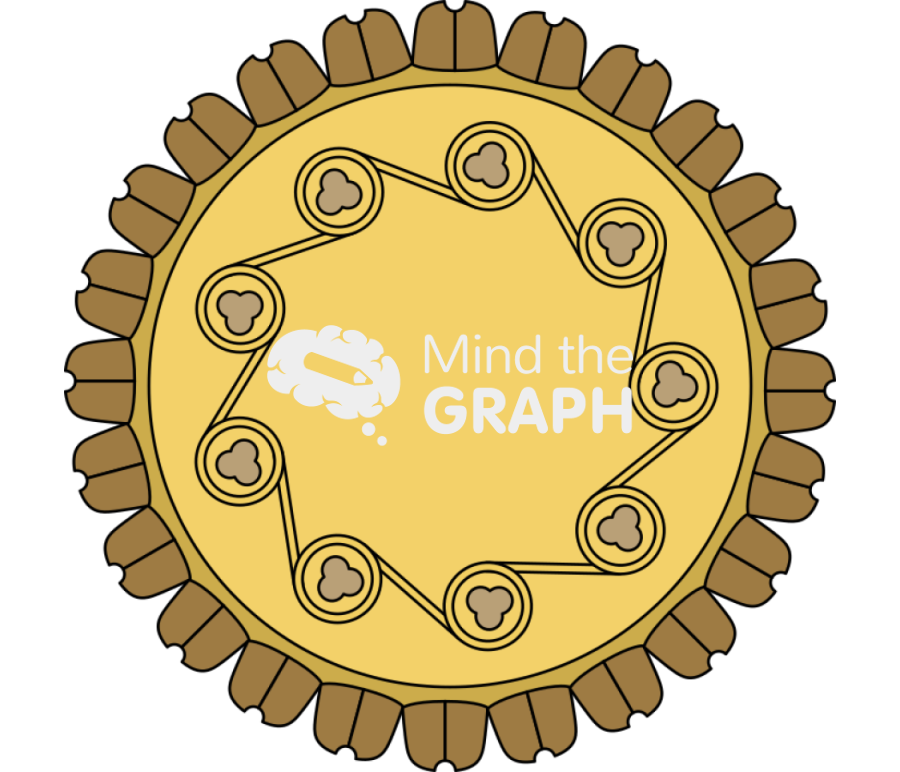 Merkel cell polyomavirus Icons, Symbols, Pictures, and Images