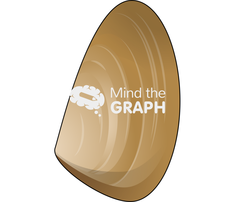 Mesodesma donacium Icons, Symbols, Pictures, and Images