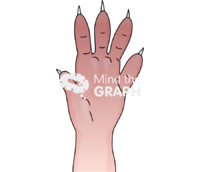 Mice paw arthritis Icons, Symbols, Pictures, and Images