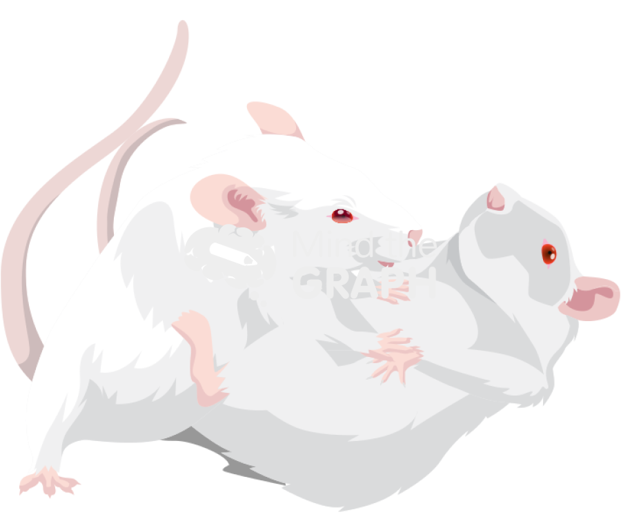 Mice resident intruder test aggressive posture Icons, Symbols, Pictures, and Images