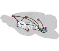 Mice reward system Icons, Symbols, Pictures, and Images