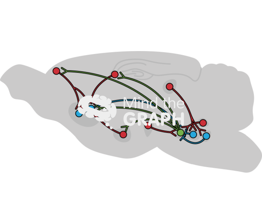 Mice reward system Icons, Symbols, Pictures, and Images