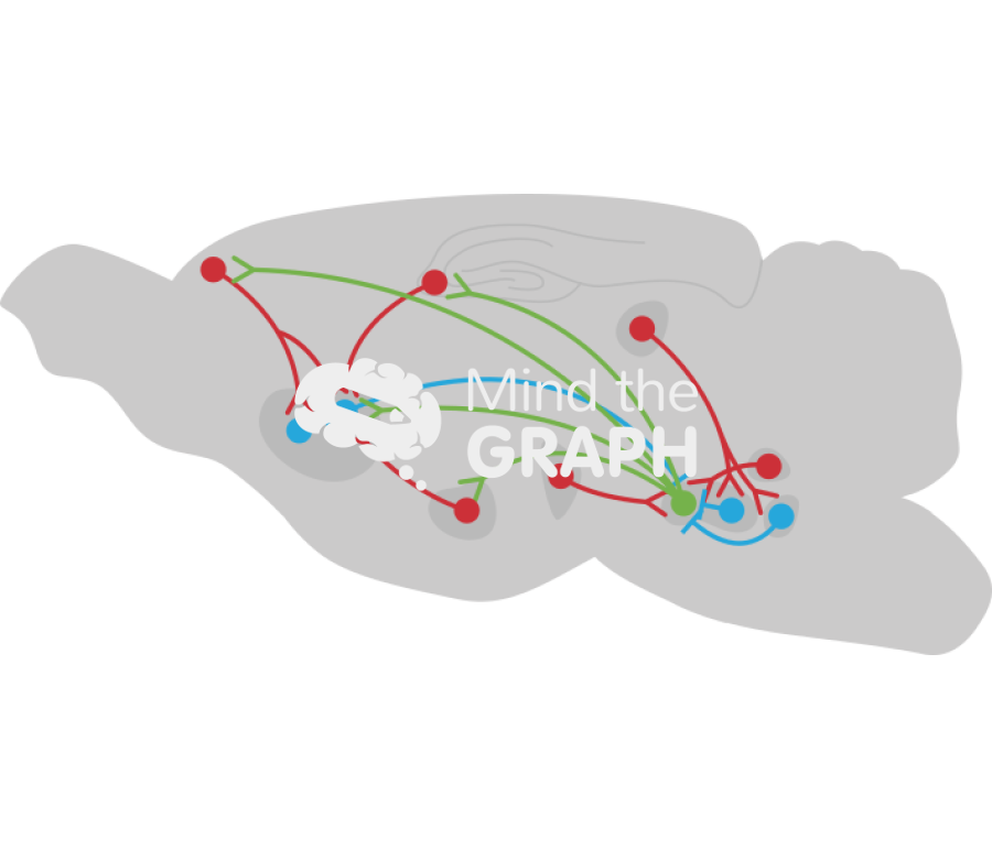 Mice reward system Icons, Symbols, Pictures, and Images