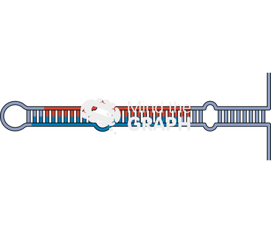 Micro rna mirna genetics Icons, Symbols, Pictures, and Images