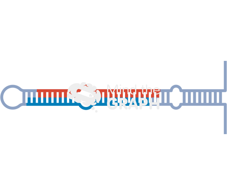 Micro rna mirna genetics Icons, Symbols, Pictures, and Images