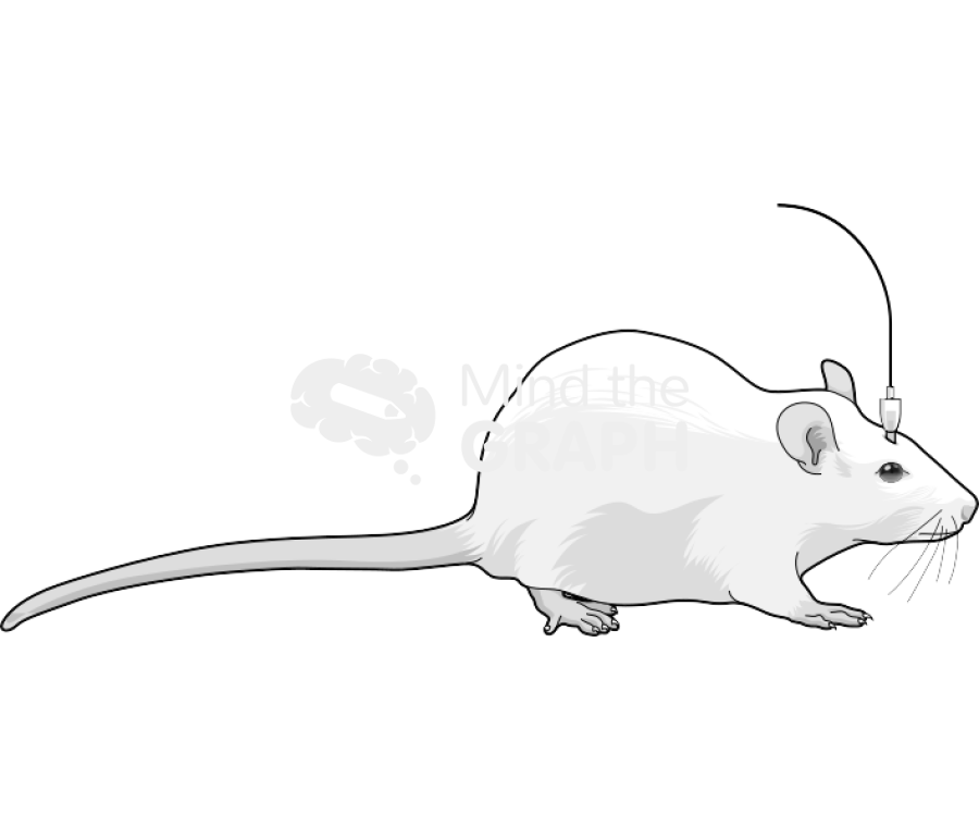 Microinjection Icons, Symbols, Pictures, and Images