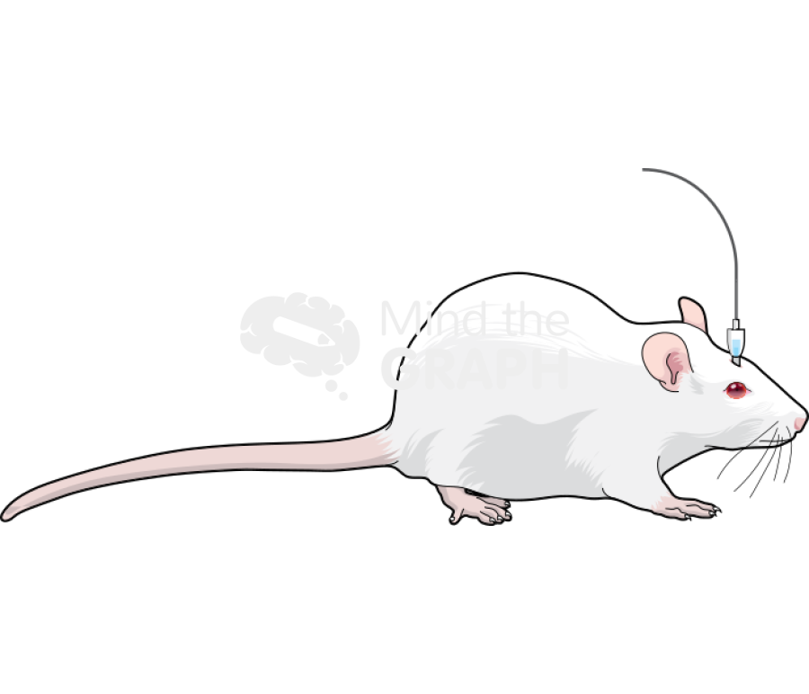 Microinjection Icons, Symbols, Pictures, and Images