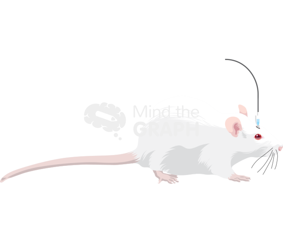 Microinjection Icons, Symbols, Pictures, and Images