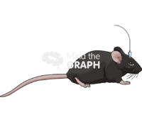 Microinjection c57bi6 Icons, Symbols, Pictures, and Images