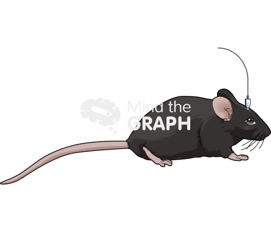 Microinjection c57bi6 Icons, Symbols, Pictures, and Images