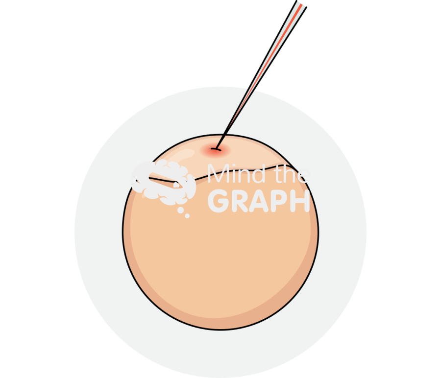 Microinjection zebrafish egg 1 Icons, Symbols, Pictures, and Images