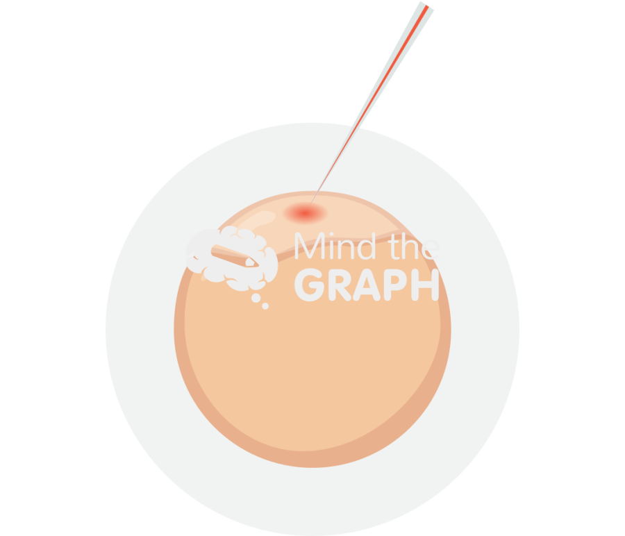 Microinjection zebrafish egg 1 Icons, Symbols, Pictures, and Images