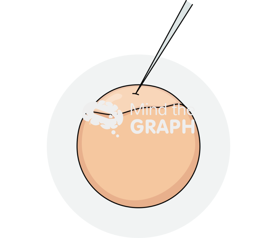 Microinjection zebrafish egg 2 Icons, Symbols, Pictures, and Images