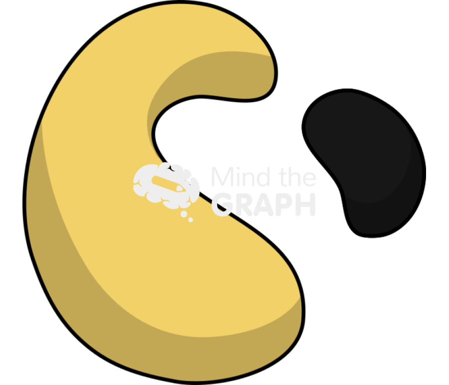 Microorganism bioremediation process 1 Icons, Symbols, Pictures, and Images