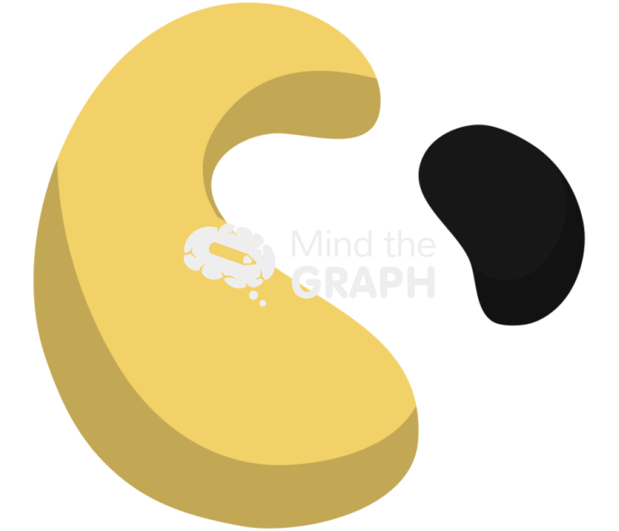 Microorganism bioremediation process 1 Icons, Symbols, Pictures, and Images