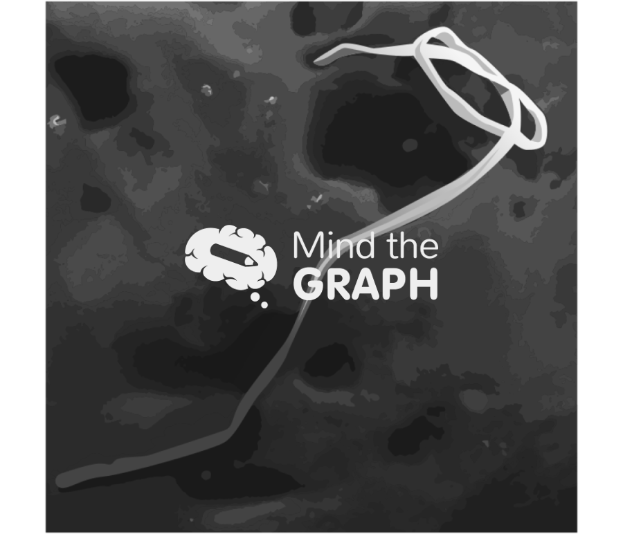 Microplastic fiber sem eds Icons, Symbols, Pictures, and Images