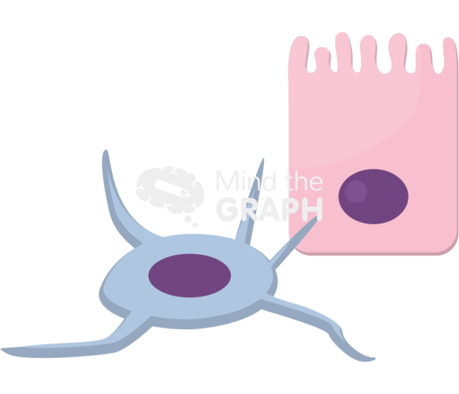 Mitochondria transported stromal epithelial cells nanotubes Icons, Symbols, Pictures, and Images