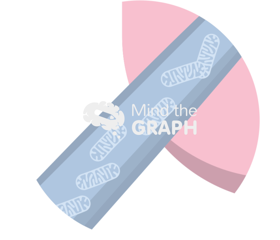 Mitochondria transported stromal epithelial cells nanotubes zoom Icons, Symbols, Pictures, and Images