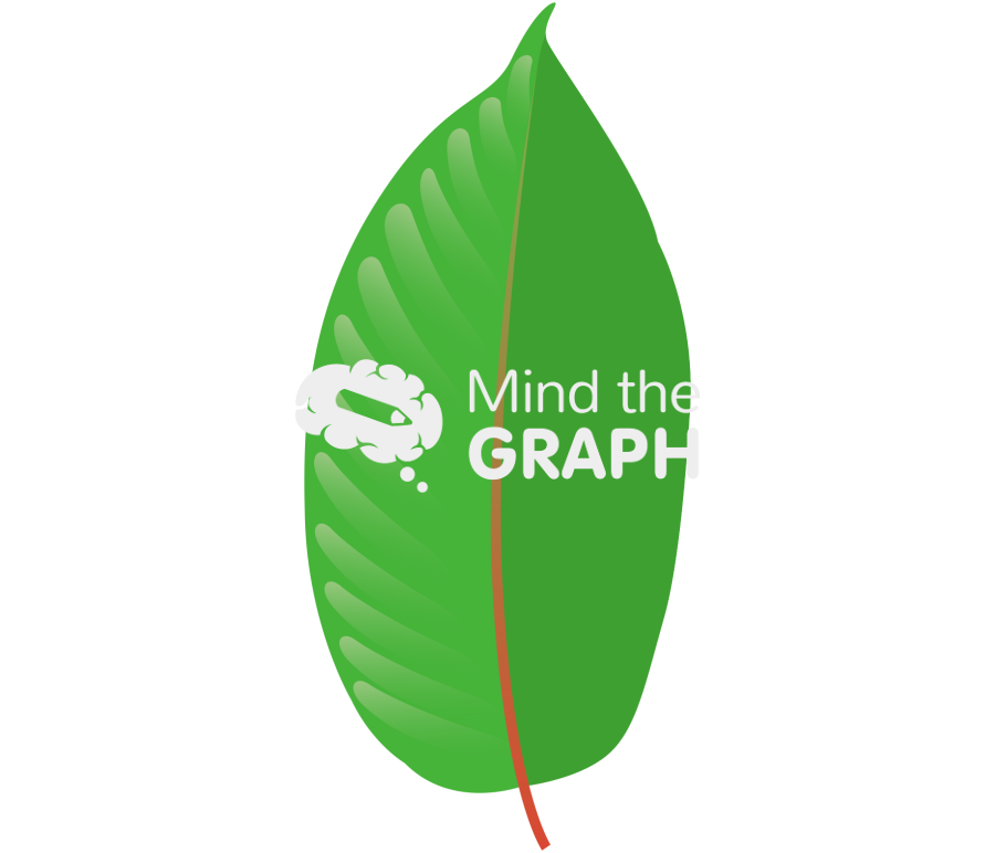 Mitragyna speciosa kratom leaf Icons, Symbols, Pictures, and Images