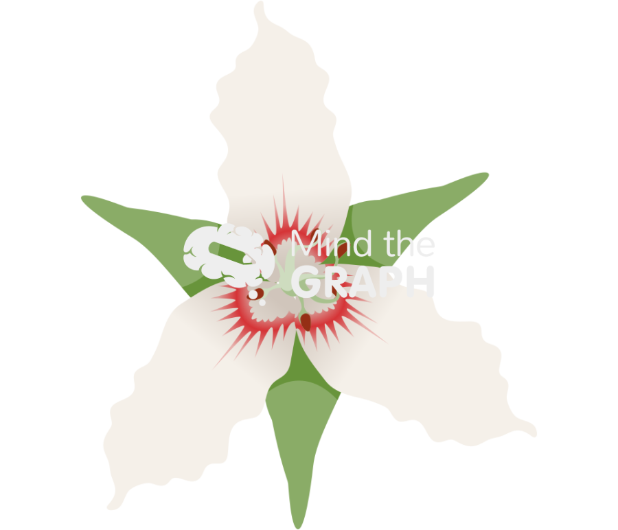 Monocotyledon flower Icons, Symbols, Pictures, and Images