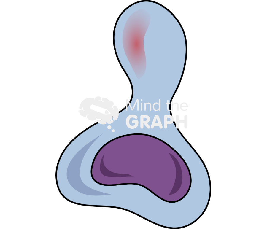 Monocyte migrating into intima Icons, Symbols, Pictures, and Images