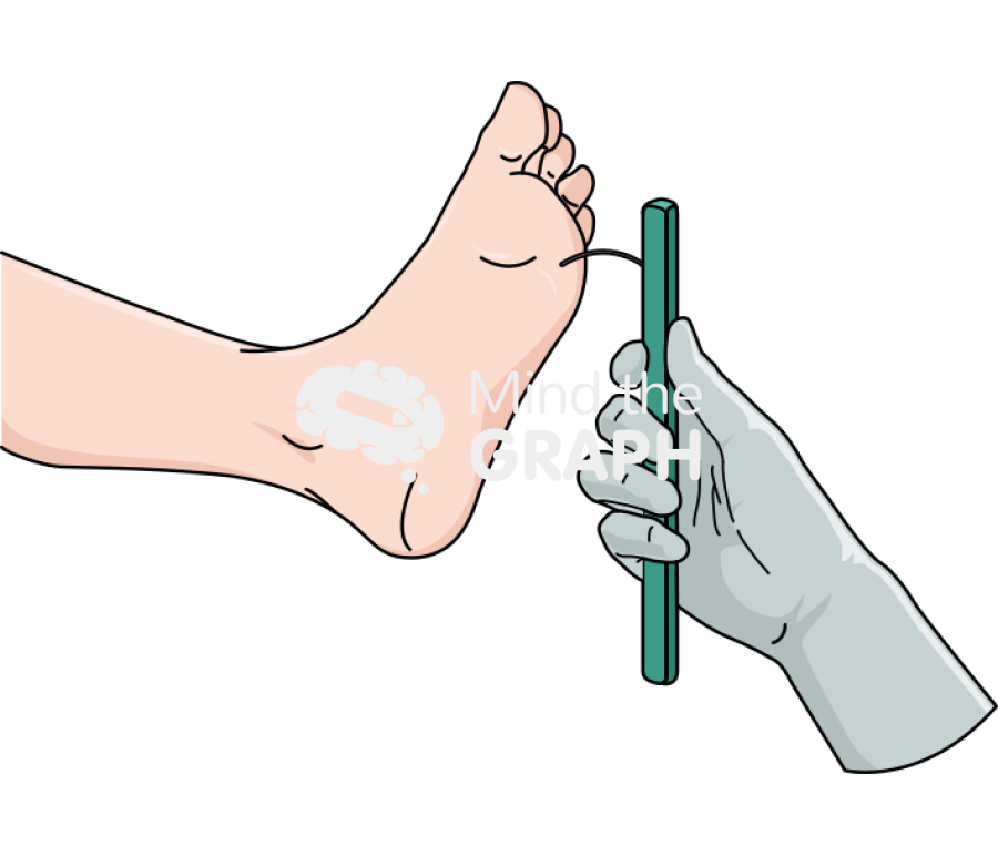 Monofilament test 2 Icons, Symbols, Pictures, and Images