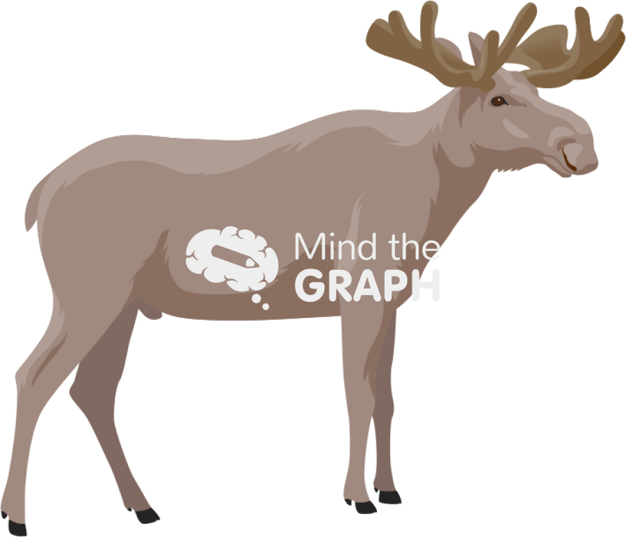 Moose Icons, Symbols, Pictures, and Images