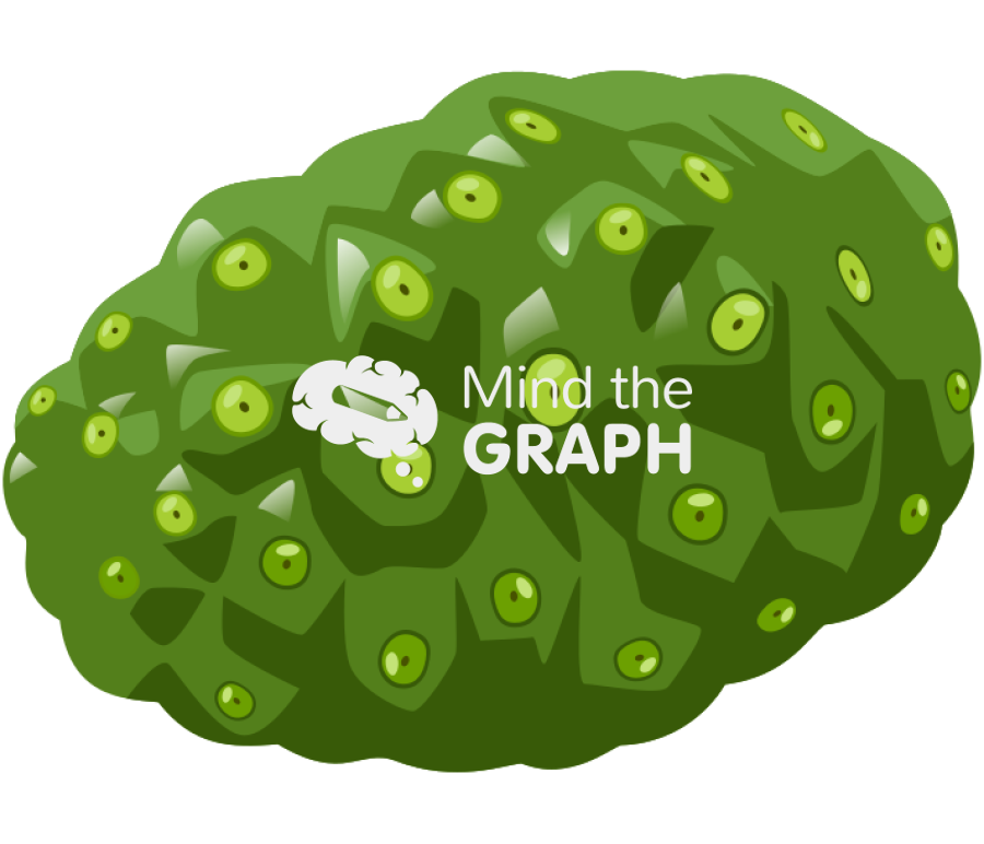 Morinda fruit Icons, Symbols, Pictures, and Images