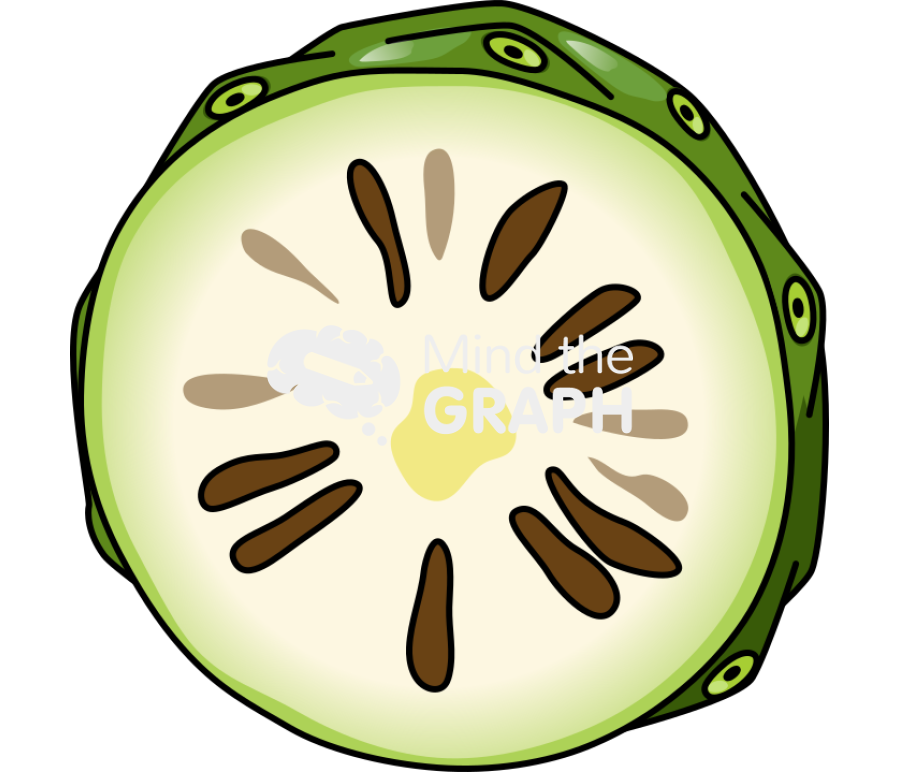 Morinda fruit cut Icons, Symbols, Pictures, and Images