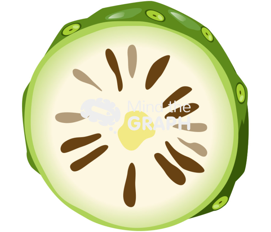 Morinda fruit cut Icons, Symbols, Pictures, and Images