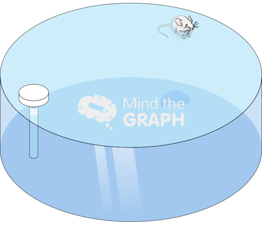 Morris water maze Icons, Symbols, Pictures, and Images