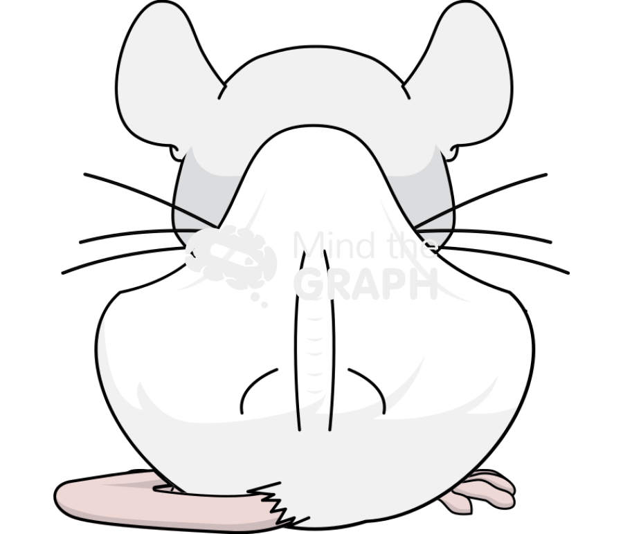 Mouse body condition score emaciated back Icons, Symbols, Pictures, and Images