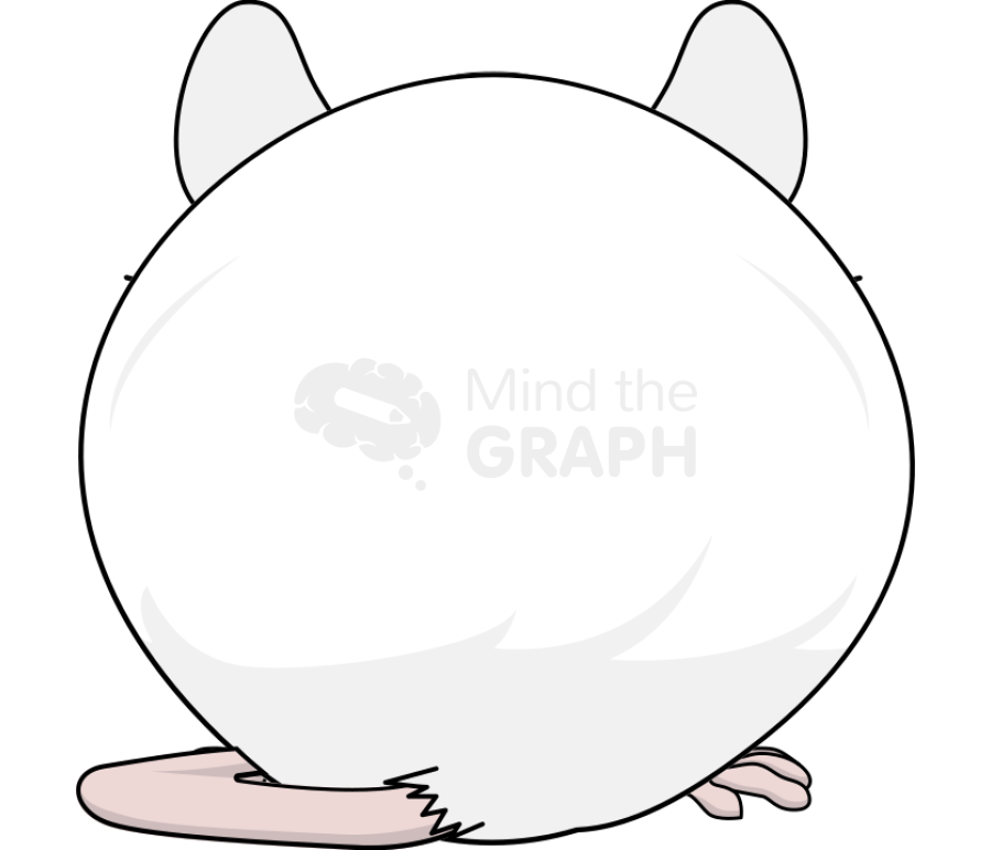 Mouse body condition score obese back Icons, Symbols, Pictures, and Images