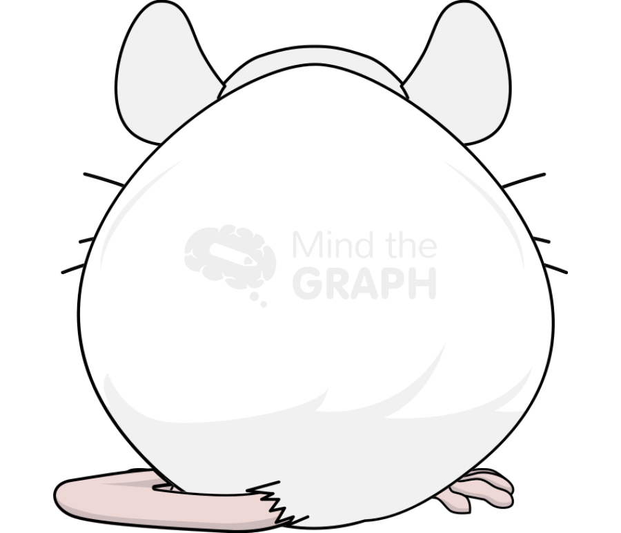 Mouse body condition score over conditioned back Icons, Symbols, Pictures, and Images