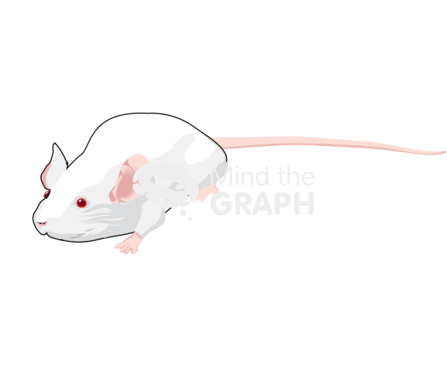 Mouse body condition score under conditioned Icons, Symbols, Pictures, and Images